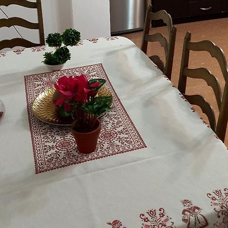 City Center Apartment Шкодер Экстерьер фото