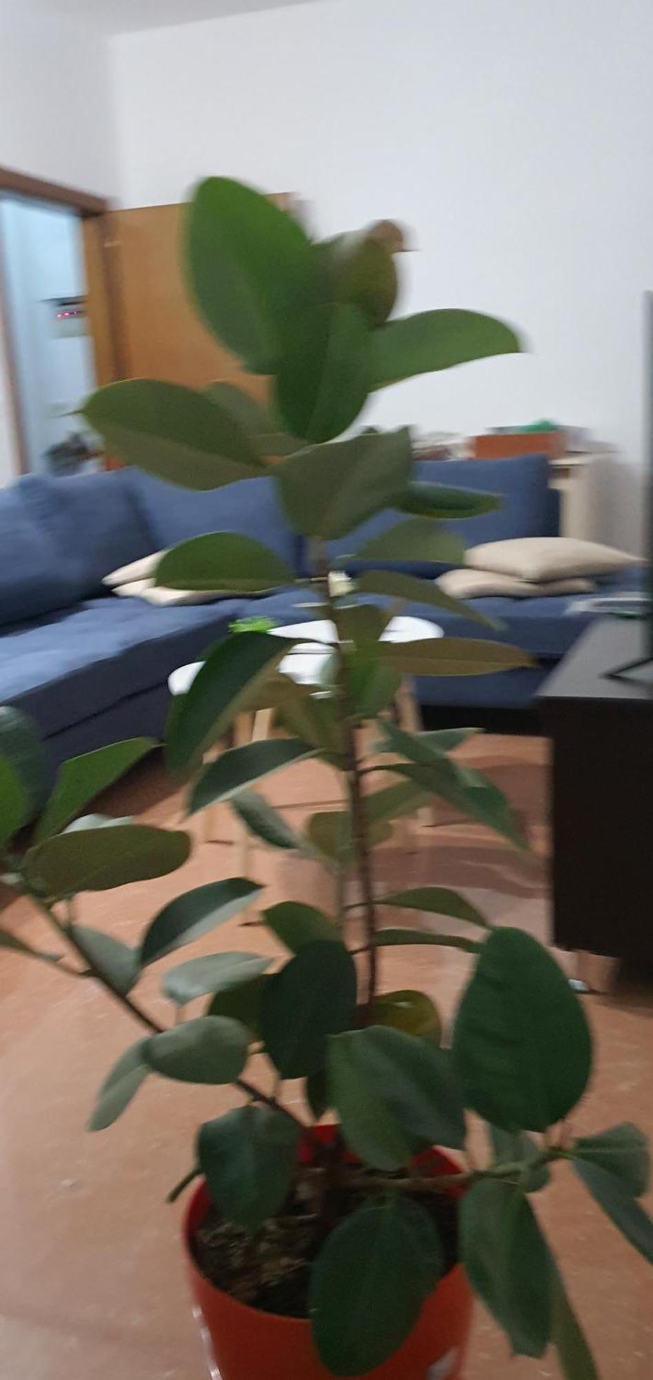 City Center Apartment Шкодер Экстерьер фото